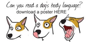 DOG-POSTER